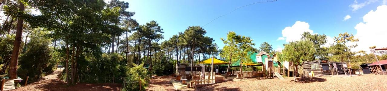 Adorable Studio Cabine Vue Mer - 2/4 Personnes แซ็งต์-ฌอง-เดอ-มองต์ ภายนอก รูปภาพ